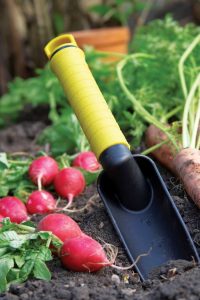 Growing a Vegetable Garden Saves You Money Image